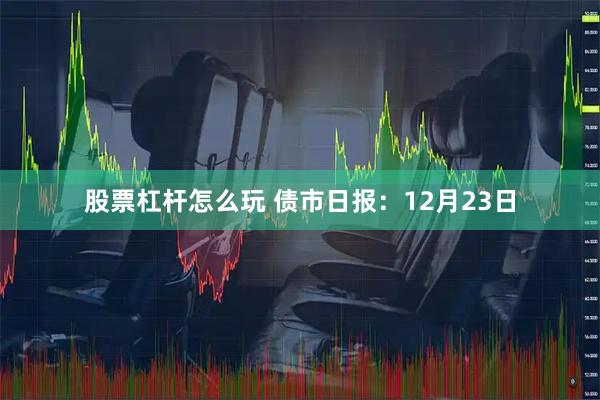 股票杠杆怎么玩 债市日报：12月23日